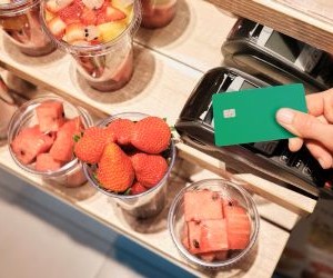 Nhu cầu về paladi và bạch kim: xu hướng so sánh chính