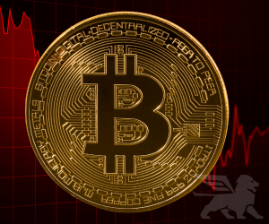 Tháng 11 năm 2025 là cú thức tỉnh đau đớn cho phe bò bitcoin.